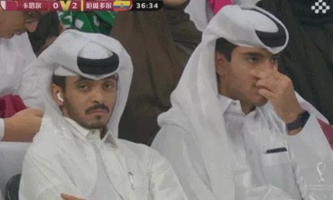 卡塔尔有钱人也不快乐表情包图片高清版图片1