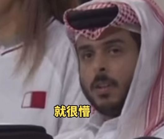 卡塔尔悲伤王子接化发气出表情包图片高清版图片2
