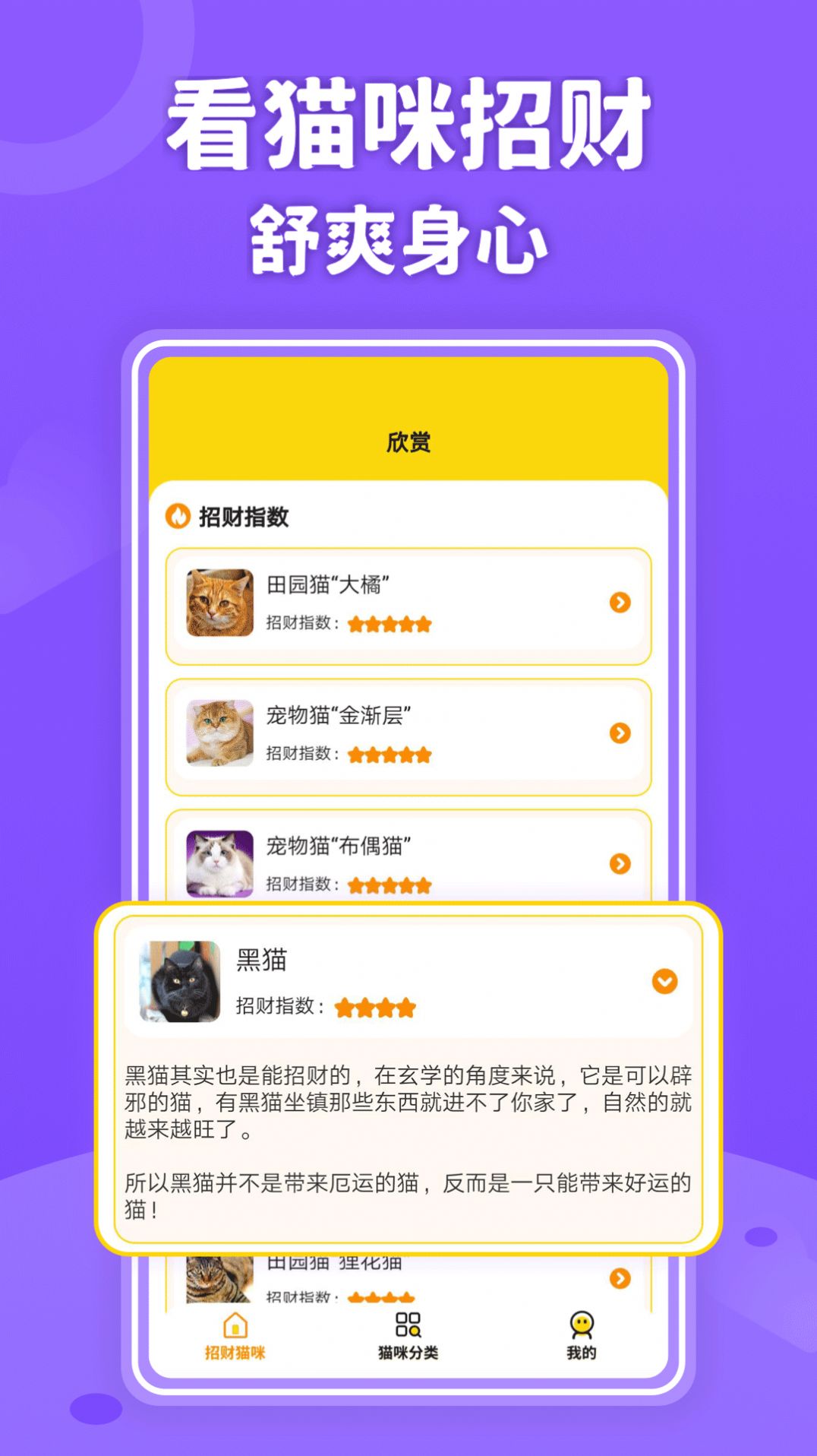 招财进猫学习软件app图3: