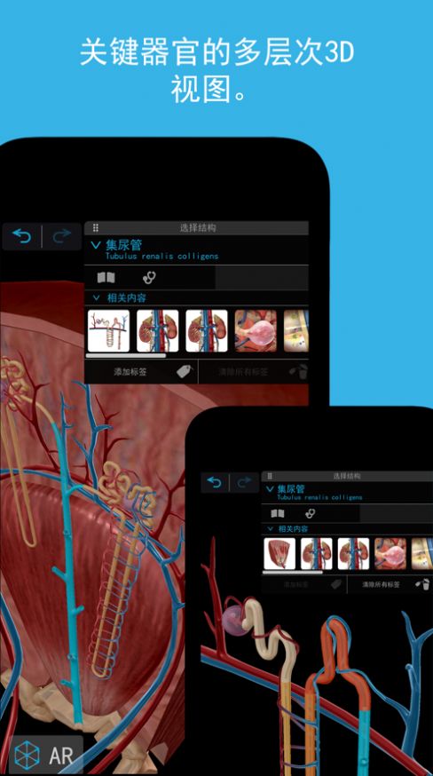 2023人体解剖学图谱免费版图2