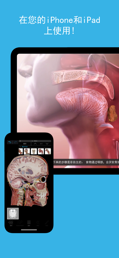 2023人体解剖学图谱免费版安卓下载正版图片2