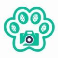 豆猫水印相机app