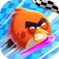 愤怒的小鸟竞速游戏联机版 v1.0