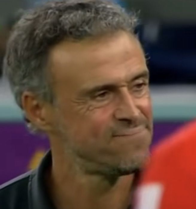 西班牙主教练被气出表情包动态图片大全图3: