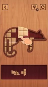 木块拼图谜题游戏免费版图1: