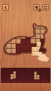 木块拼图谜题游戏图2