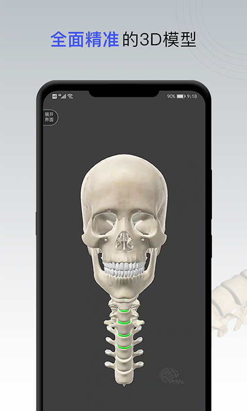 防止脊髓损伤app安卓版图1:
