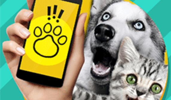 和宠物交流的软件_和宠物对话 的软件是什么_可以和动物交流的软件下载
