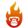 猴子探站app安卓免费最新官方 v1.0