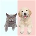 Pet Translator宠物对话翻译器中文版软件 v1.0
