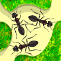 蚂蚁农场游戏安卓版 v1.6.9