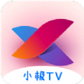 2022小极TV 1.4电视版