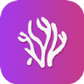 珊瑚视频播放器app v1.1