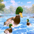 鸭子家庭生活模拟器3D游戏中文版（Duck Family Life Simulator 3D） v1.0.2
