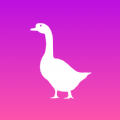 大鹅短视频app