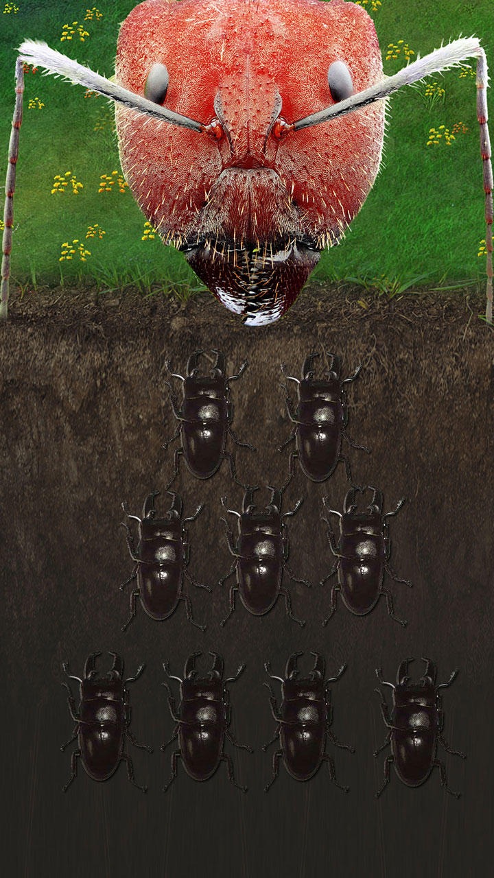 蚂蚁地下蚁国游戏中文手机版图片1