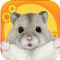 枫叶鼠之谷游戏最新版 v1.0