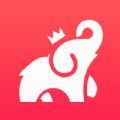 小红象绘本app安卓版 v1.0.0