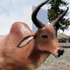 快乐犀牛模拟器游戏安卓版 v1.2