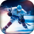 冰球大师挑战赛游戏安卓版下载 v0.1