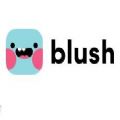 blush.design插画生成器