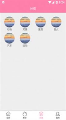 茶杯狐壁纸app安卓版下载图2: