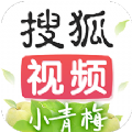 搜狐视频官方app软件下载 v9.8.60