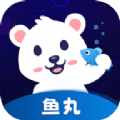 鱼丸电竞app安卓版 v1.0.0