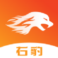 右豹短剧app免费安卓小程序 v6.2.5