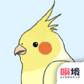 鸟巢游戏安卓版下载 v1.00.05