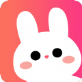 兔兔森林app官方版