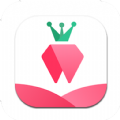树莓小说阅读器app安卓版 v1.0.6