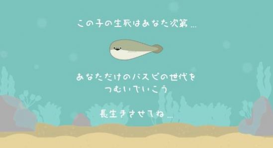 饲养一只萨卡班甲鱼下载安装最新中文版图片1