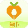 萝卜社区团购软件最新版 v1.0