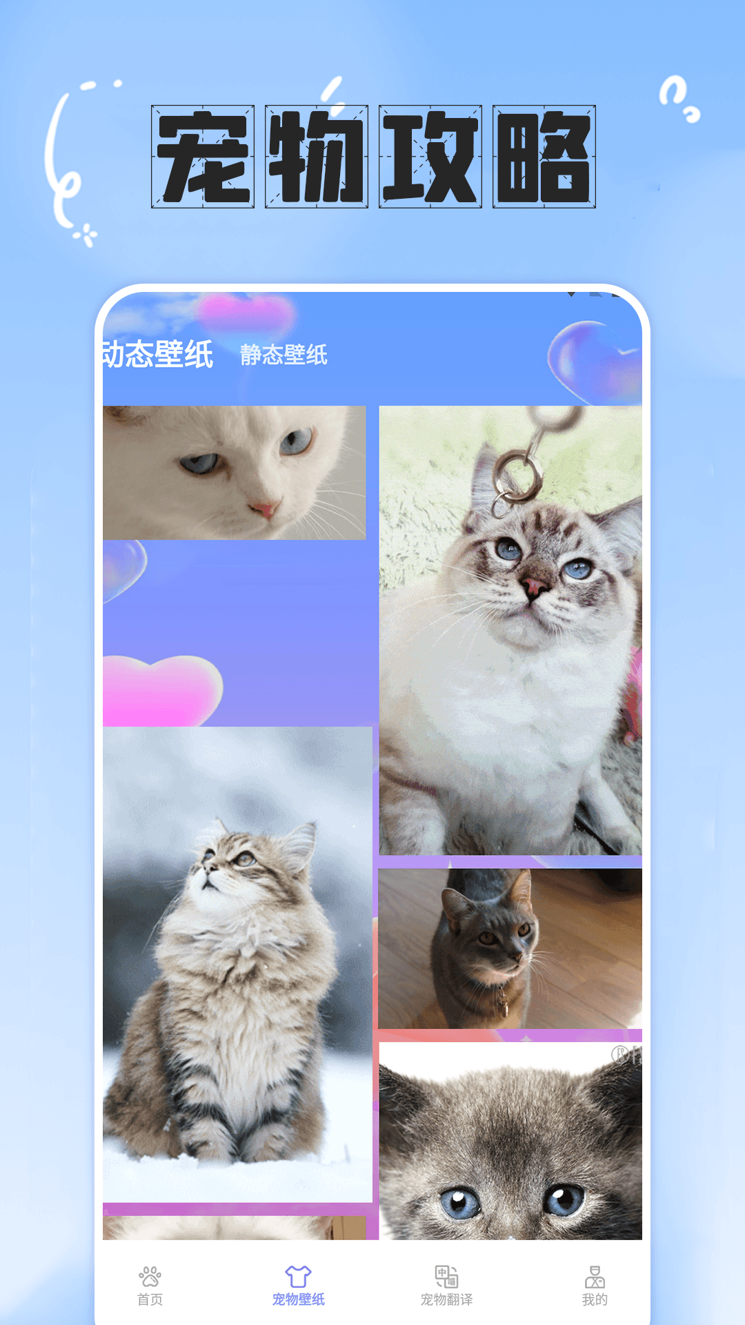 简喵大师宠物攻略app手机版下载图片2