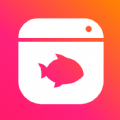 鱼鱼末盒软件app v1.0.0