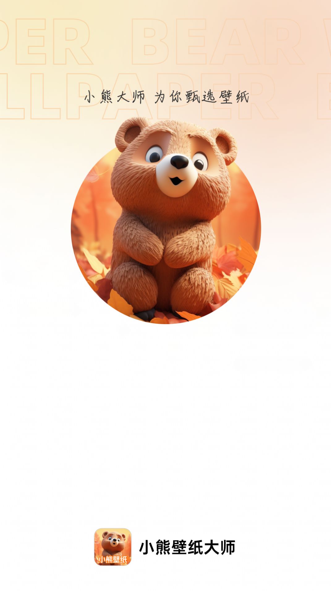 小熊壁纸大师app图3