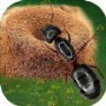 蚂蚁打不过游戏官方手机版 v1.0.0