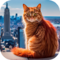 猫咪历险记大都市游戏官方正版 v1.1