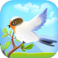 纯真鸟短视频手机版app下载 v2.3.6
